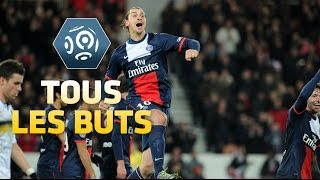 Ligue 1 - Tous les buts de la 17ème journée - 2013/2014