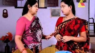 paarijatha 15.12.2011 epi 29 part 3.mp4