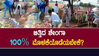 ಶೇಂಗಾಗೆ ಬೀಜೋಪಚಾರ ಮಾಡಿದ್ರೆ ಆಗುವ ಲಾಭ 108..! What are the benefits of bijopachar #groundnutbijopachar