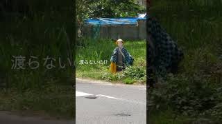 【恐怖映像】Horror video😱　　ドライブ中　山道で鬼滅の子 発見!!　