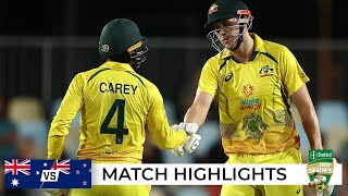 Ice-cool Green, Carey star in chase after Maxwell’s four | Australia v New Zealand 2022