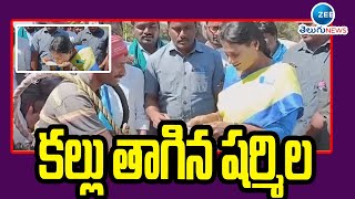 కల్లు తాగిన వైఎస్ షర్మిల | YS Sharmila Had Natural Drink During Padayatra |  ZEE Telugu News