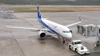 【プッシュバック】庄内空港(SYO) ANA A320neo 猛吹雪の中…　#庄内空港 #山形県酒田市 #a320neo #飛行機