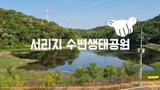 서리지 수변생태공원 (대구)