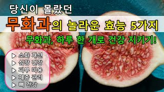 무화과의 놀라운 건강 효과 5가지! 매일 먹어야 하는 이유