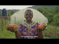 chemondin women in west pokot share the impact of farmshield by synnefa