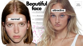 What REALLY Makes a Face BEAUTIFUL