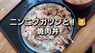 鯉のぼり好き平成生まれの独り飯　焼肉丼