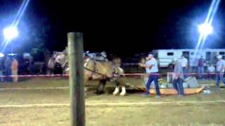 Horse pull 4