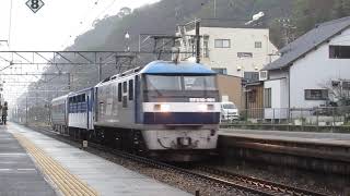 8862レ【アンパンマントロッコ甲種輸送】EF210-101号機 興津駅通過　汽笛あり