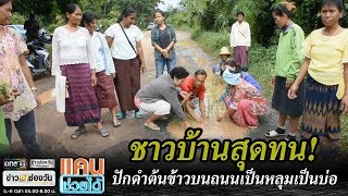 ชาวบ้านสุดทน! ปักดำต้นข้าวบนถนนเป็นหลุมเป็นบ่อ | แคนช่วยได้ | ข่าวช่องวัน | one31