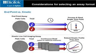 Tools and Techniques for Optimizing Cell Proliferation Studies