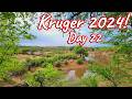 Day 22 – Kruger National Park! Ep 562