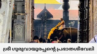 Guruvayoor Temple Morning Seeveli Guruvayoor Temple Today  ഗുരുവായൂരപ്പന്റെ പ്രഭാത ശീവേലി