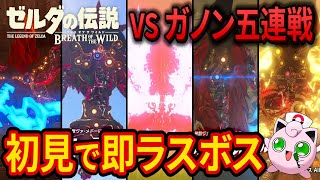 ゼルダ初プレイで速攻ラスボス「ガノン五連戦」に挑戦した結果がヤバすぎた【ゼルダの伝説ブレスオブザワイルド】【BotW】