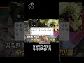 끔찍한 동물학대 제주도 강아지 생매장 사건 shorts