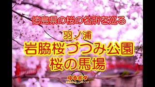 徳島県　ゆる～くポタリング　岩脇　桜づつみ公園