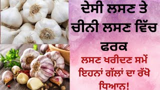 ਚੀਨੀ ਲਸਣ ਅਤੇ ਦੇਸੀ ਲਸਣ ਵਿੱਚ ਫਰਕ। Chinese garlic between normal garlic differences #Informationgarlic