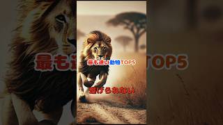 【動物雑学】最も速い動物TOP5 #shorts