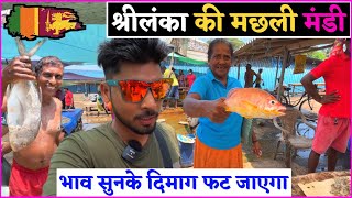 Sri lanka 🇱🇰 Fish 🐠 Market | श्रीलंका की मछली मंडी ! श्रीलंका में मछली के भाव ! Manish Dhadholi