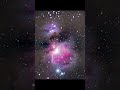 the orion nebula astro astronomy astrophotography space nebula nebulae astronomical stars