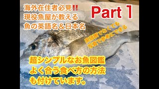 海外在住者必見！シンプルお魚英語名＆日本名図鑑