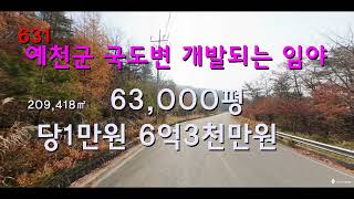 [번호631]경북 예천군 용문면 국도변 개발되는 임야 평당1만원