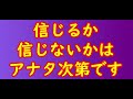 2021弥生賞！スタポケの『シミュレース』を使って回収率を統計的に割り出し！と仮想オッズを使ってインサイダー傾向もあぶり出す！！