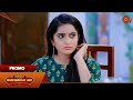 Manamagale Vaa - Promo | 19 Nov 2024 | Tamil Serial | Sun TV