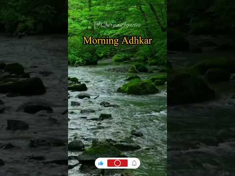 Morning Adhkar DUA |Mufti Menk |#shorts #shortsfeed #islam #adhkar ...