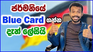 ජර්මනියේ Blue Card එකේ අලුත් කළ නීති | Germany New Immigration Rules | Germany Sinhala Video