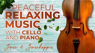 Relaxing Music | Peaceful RAIN SOUNDS for Sleep and Meditation | Cello & Piano