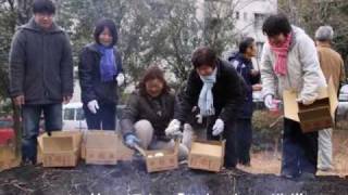 どんど祭りの記録（吉岡 謙治）