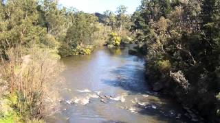 Warrandyte River Reserve - Yarra River, Melbourne Australia