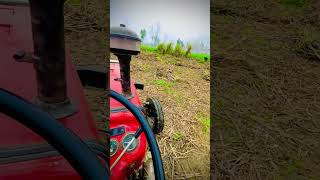 👀#masseyferguson#245 #Atiquefarming#new#shorts #video#viral#trending#ytshorts#tractor#youtubeshorts