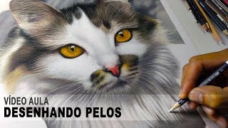 Vídeo Aula - Desenhando gato passo a passo