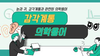 눈과 귀와 관련된 감각계통 의학용어를  학습을 시작합니다