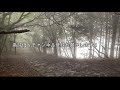 【神社紹介】砥鹿神社奥宮で参拝してみよう