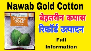 Nawab Gold Cotton, Parbhat Seeds, Full Information #KhetiDiscovery