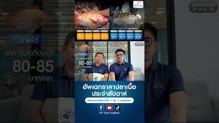 ราคาปลาเนื้อประจำสัปดาห์ | ป.เจริญฟาร์ม