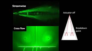 Asymmetric Flow Control on a Delta Wing with Dielectric Barrier Discharge