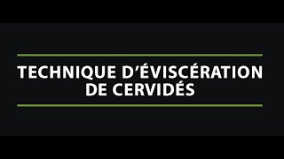 Technique d'éviscération de cervidés