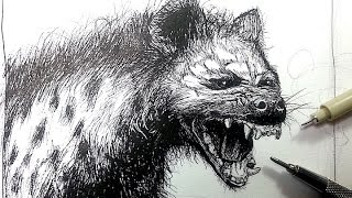 Pen & Ink Drawing Tutorials | Draw a Hyena