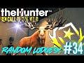 *I NEED THIS GREAT ONE!* Touring YOUR Trophy Lodges! | Call of the Wild