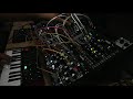 digital jungle modular synth patch