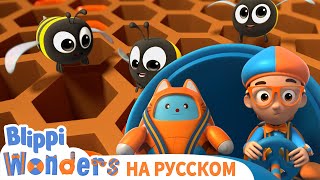 Как Добывать Мёд | Обучающие видео для детей | Blippi Russian