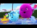 Ice Skating | SUNNY BUNNIES | Cartoons for Kids | WildBrain Bananas