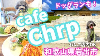 【和歌山/大人気/店内犬OK！】ドッグラン併設のこだわりのインテリアのcafe Chrpに行ってきたよ💓㏌和歌山県岩出市【犬と行けるカフェ】