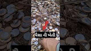 પૈસા ની ખેતી#shaktivideo#