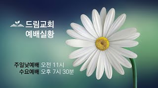 드림교회 수요예배 (2024년 11월 13일)